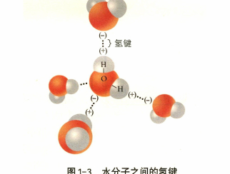 大众概念汽车